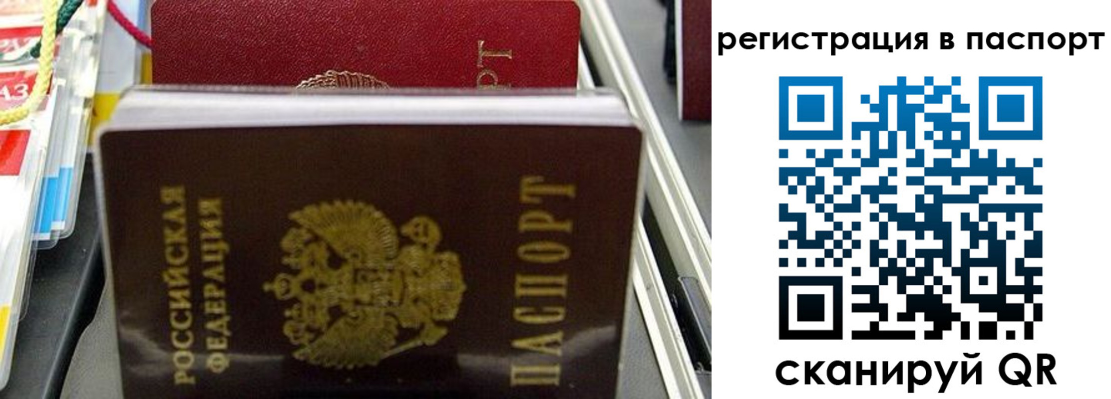 прописка для школы в Озёрске